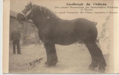 Lindbergh du Château wint gewestelijke prijskamp te Deinze