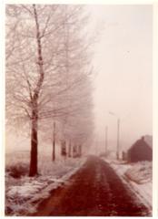 De Olsense Machelenstraat in de sneeuw