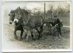 Ploegen met paard en kar