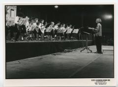 De Deinse Muziekacademie concerteert in de Brielpoort