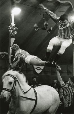 Voltige-act bij circus Jhony