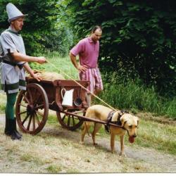 Hondenkar voor 850 jaar Hansbeke