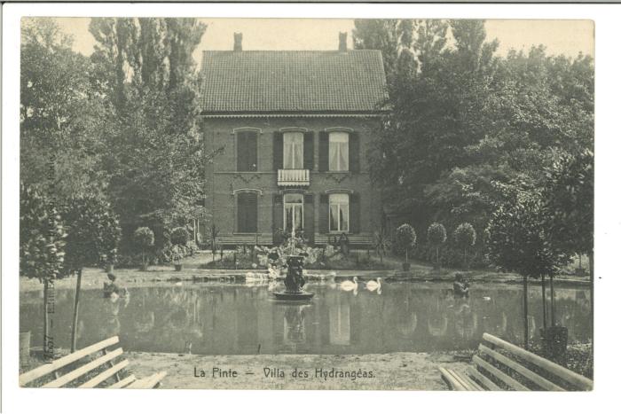 De Pintse villa des Hydrangéas