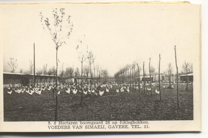 Voeders Van Simaeij 6 hectaren boomgaard