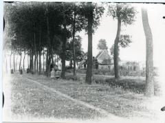 Landweg vlakbij het Eeks 'Nieuw Kasteel'