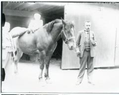 Poseren op een paard bij de familie De vos