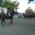 De Koninklijke Escorte te paard in Nazareth-Eke