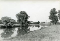 Een prachtig stukje oude Leie in Olsene