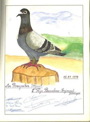 1ste prijs bij de duivenvlucht vanuit Barcelona